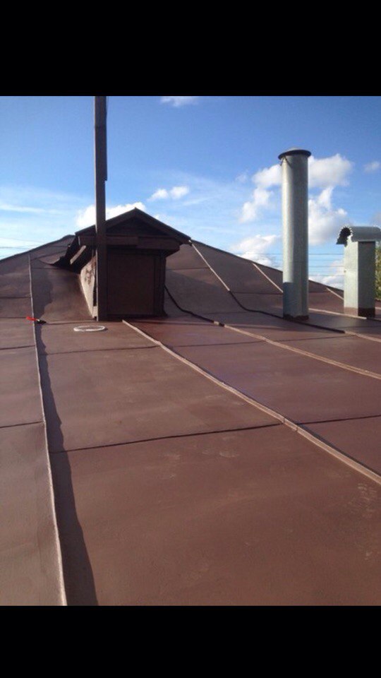 г. Рязань, крыша оцинкованная на ул. Нахимова покрашена резиновой краской цвет Шоколад в 2016